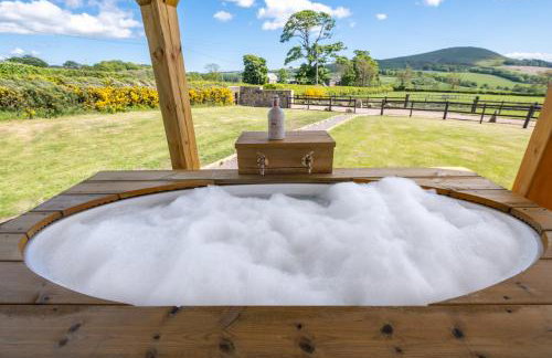 Heartland with Hot Tub - Foto 13