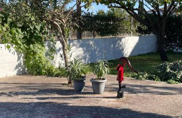 Sofias Cottage Trikala - Photo 58