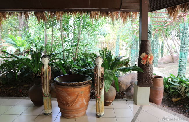 Dos Palmas Island Resort & Spa - Foto 30