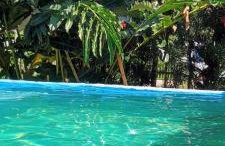 Casa da Flor - Photo 20