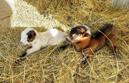 Stunning Home In Eyraud-Crempse-Maurens - Foto 13