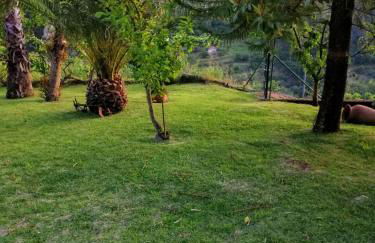 Casa Loureiro - Vista Rio Douro - Foto 9