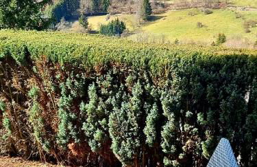 Ferienwohnung Aartalblick Willingen - Foto 21