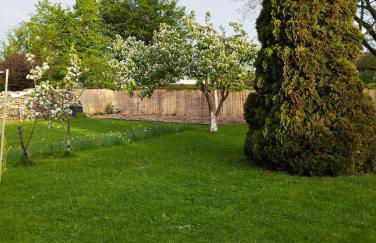 Authi's Stube - Foto 12