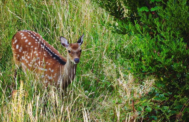 Newly Renovated, Stylish Self-catering Apartment - Foto 21