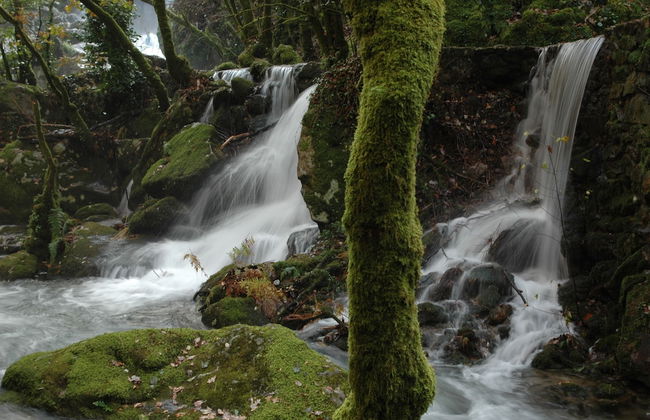 Os Migueliños - Foto 20