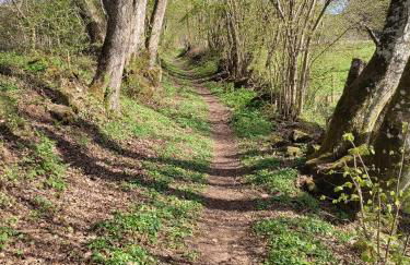 Ferienwohnung Weinand - Foto 37