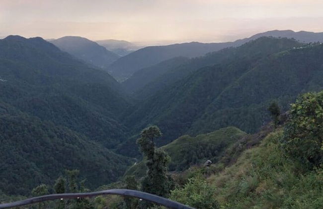 Veenu's Cottage - Foto 51