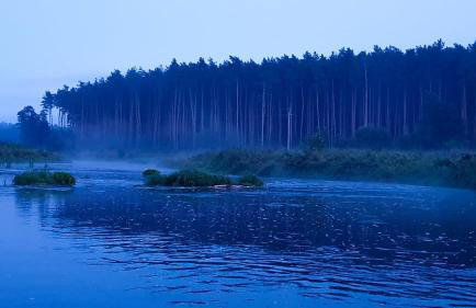 Osada Rycerska & Apartamenty Rycerskie - Foto 73
