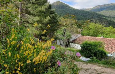 Alojamiento Rural el Seminario - Foto 34