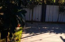 Recanto Portinho - Foto 27