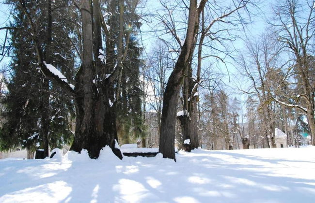 Pet-friendly Mountain Home - Foto 41