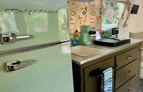 Streamside ShinyTiny Airstream in the Smokies - Foto 22