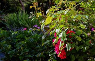 Apartment Marko - Photo 49