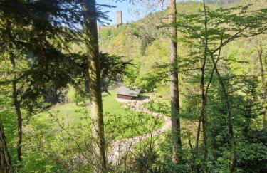 Eifel-FeWo by Salzburger - Foto 11