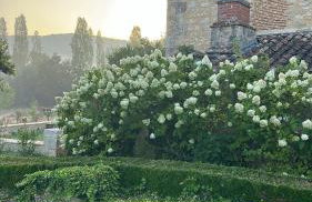 le bois de Selves - Maison authentique avec vue exceptionnelle - Photo 25