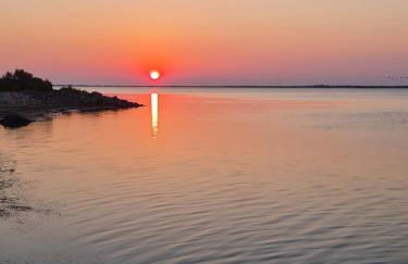 Paisible maison à l'ombre des pins - Foto 24