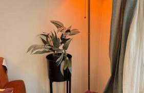 Cosy 1 Bed Boutique City Stay - Photo 6