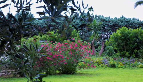 Residence Conchiglia San Giovanni - Foto 4, Garden