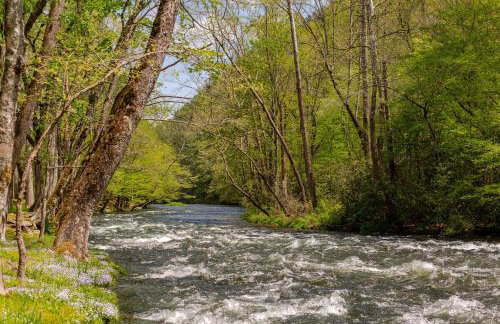 Nantahala River Luxury Escape-on the river! - Foto 47