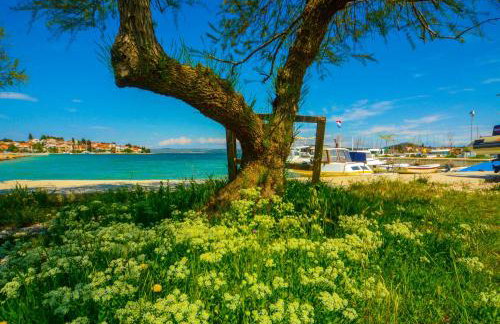 Apartments Vendi - Photo 5