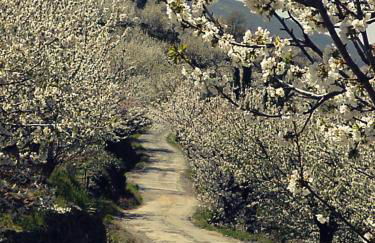 Apartamentos Rurales Cumbres de Gredos - Foto 28