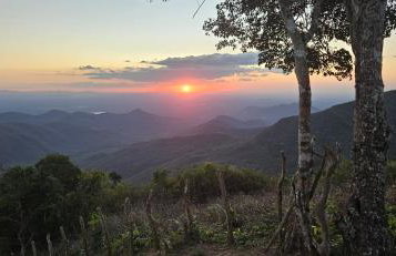 Chapada Neblina - Photo 3