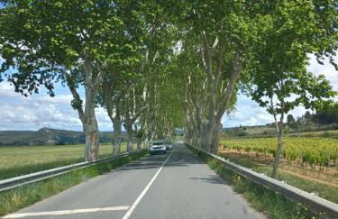 Château de Prax Viel - piscine et mini ferme, climatisé - Foto 6