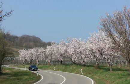 Ferienwohnung Berger Kurparkresidenz - Foto 39