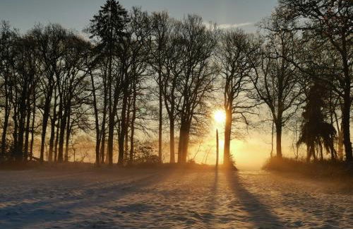 Ruheoase am Wald 35651 - Photo 19