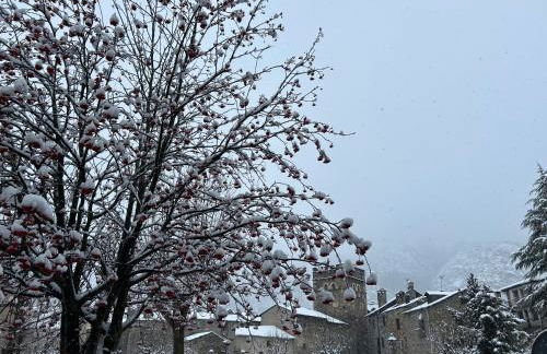 Tuca del Mont - Photo 41