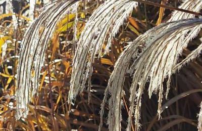 Apartamenty Morski Brzeg - Sauna, Balia - Foto 23