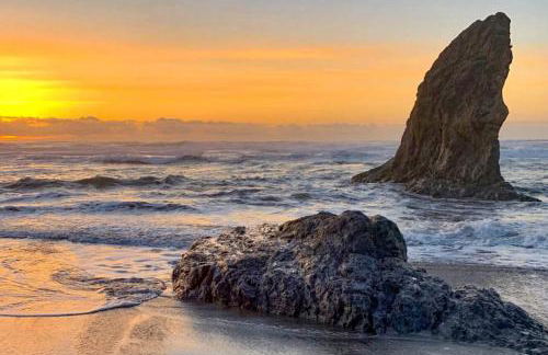 Sand Dollar Shore - Foto 40