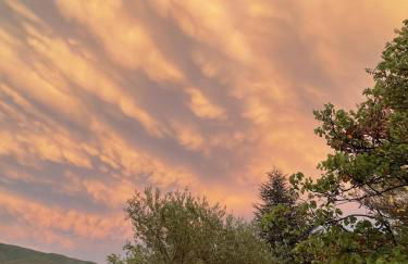 Nouveauté Villa pour 10 Personnes avec Piscine, Pétanque au Coeur des Oliviers de Provence - Foto 26