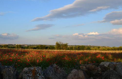 Masseria Triglie - Foto 24