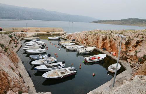 Apartman Olive 2 - Foto 47