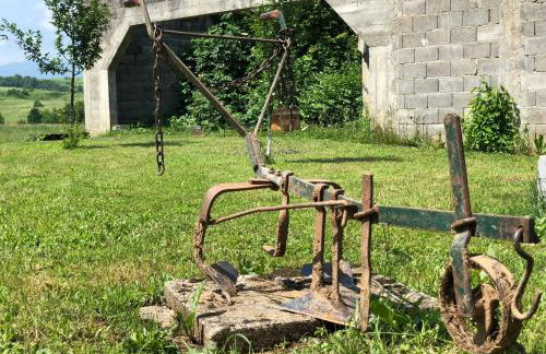 Apartman Jelena - Foto 25