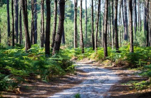 Spacieuse maison familiale entre pins et océan jusqu'à 10 personnes - Foto 28