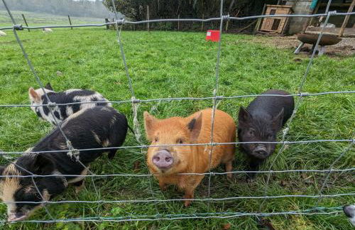 The Coach House at Brackenthwaite Farm - Photo 41