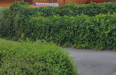 Ferienhaus am Radweg - Foto 51