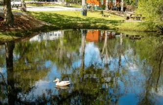 Clyde's Cabin with a private Hot Tub - Foto 17