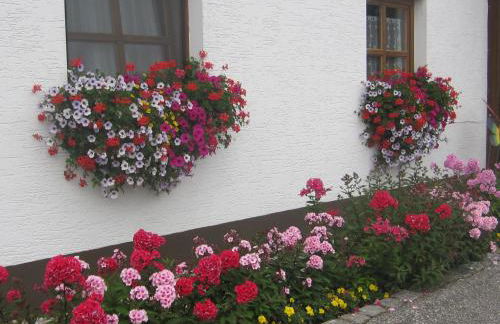 Erwachsenen Aparthotel DER WIESERHOF Wunderschöne Einzellage - Foto 41