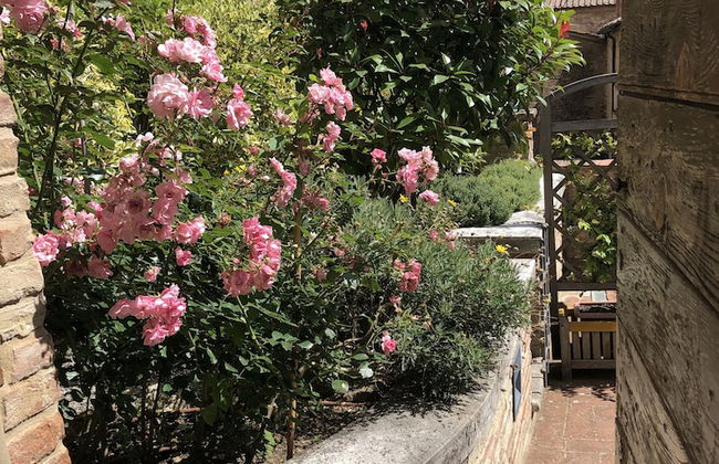 La Dimora nel Corso - Foto 56