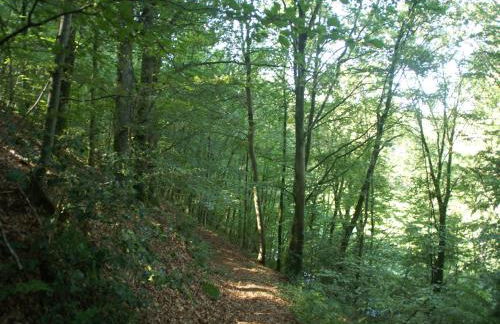 Normandy Countryside Stay - Foto 33