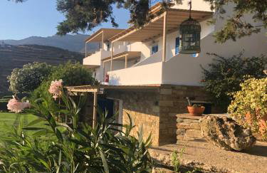 Meltemi Tinos - Foto 14