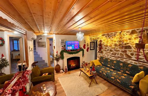 Renovated Old Manor House With Yard - Photo 1