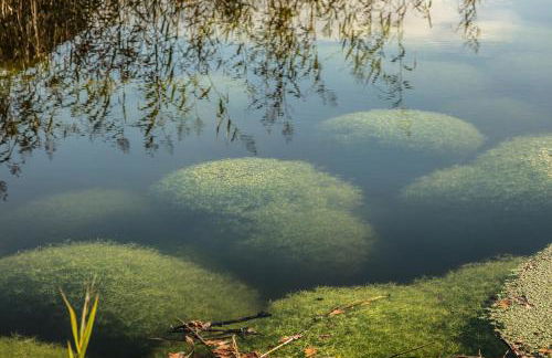 The Casterton Grange Estate - Foto 41