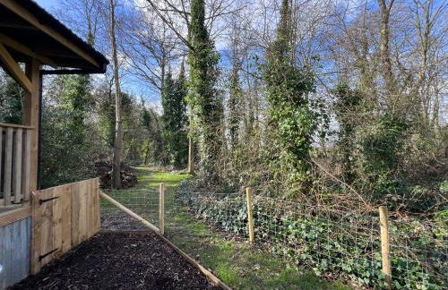 Deer View Cabin - Woodland, beaches and Hot tub - Foto 21