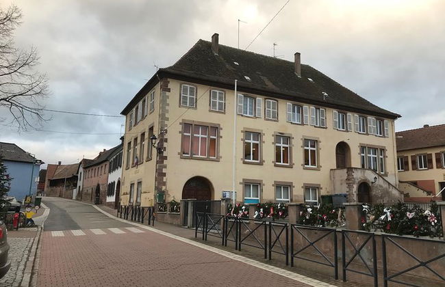 Vehículo de transporte privado con conductor Estrasburgo <=> Erstein - Foto 3