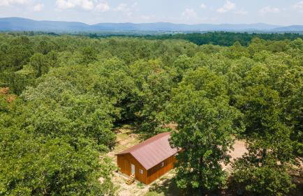 Halfmoon Hideaway-Cozy 2 bdr cabin Mena AR - Foto 79